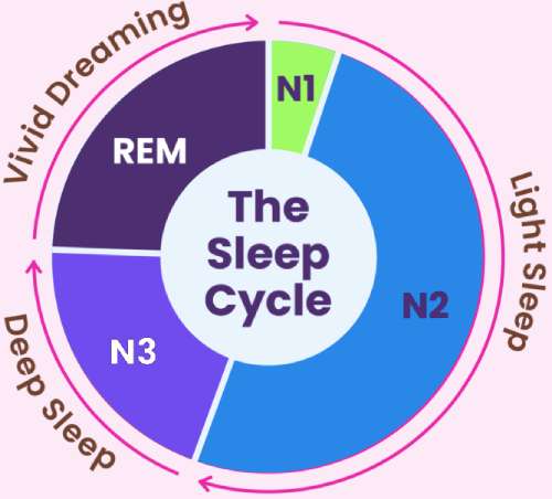 Sleep Calculator 5 rem and non rem sleep cycles